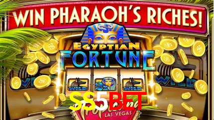 Experimente o Login Seguro Premium no SS5Bet